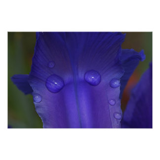 Sapphire Serenity  Fotodruck