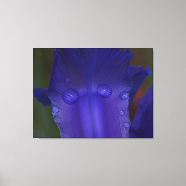 Sapphire Serenity  Leinwanddruck (Vorderseite)