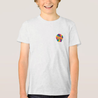 Saquarema 24 Tri-Blend shirt