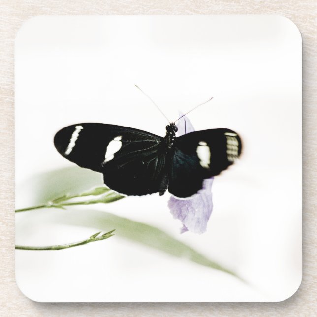 Sara Cork Untersetzer (Vorderseite)