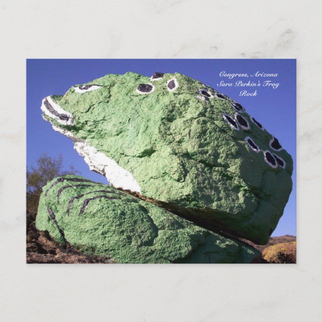 Sara Perkins Frog Rock Postkarte (Vorderseite)