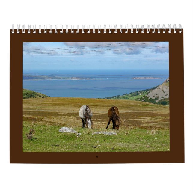 Sarah Woodburys Carneddau Ponies Kalender (Rückseite)