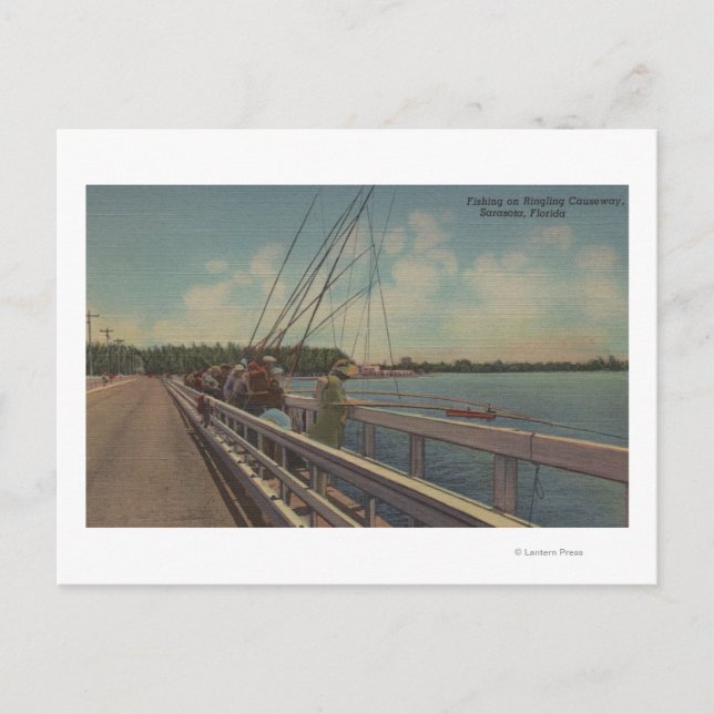 Sarasota, FL - Sicht auf die Menschen, die außerha Postkarte (Vorderseite)