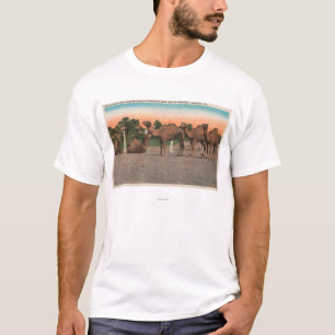 Sarasota, Florida - Kamele bei Ringling Bros T-Shirt
