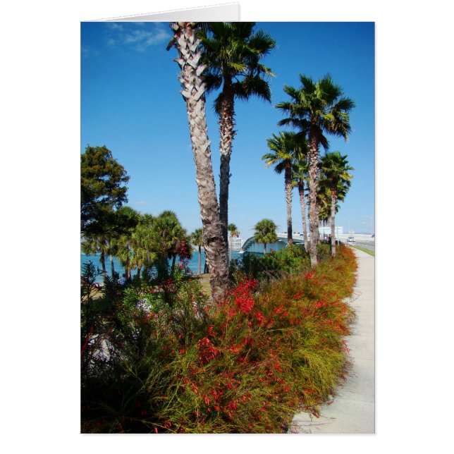 Sarasota Ringling Bridge (Vorne)