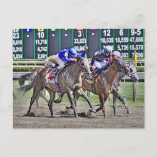Saratoga Horse Racing Postkarte