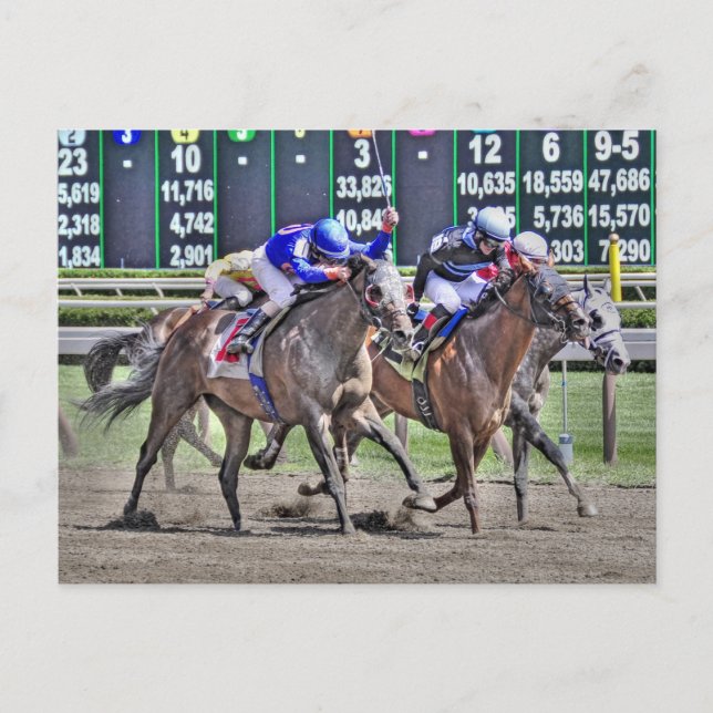 Saratoga Horse Racing Postkarte (Vorderseite)