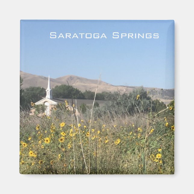 Saratoga Springs Magnet (Vorne)