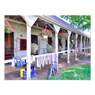 Saratoga Stables "Pferdeparadies" Fotodruck
