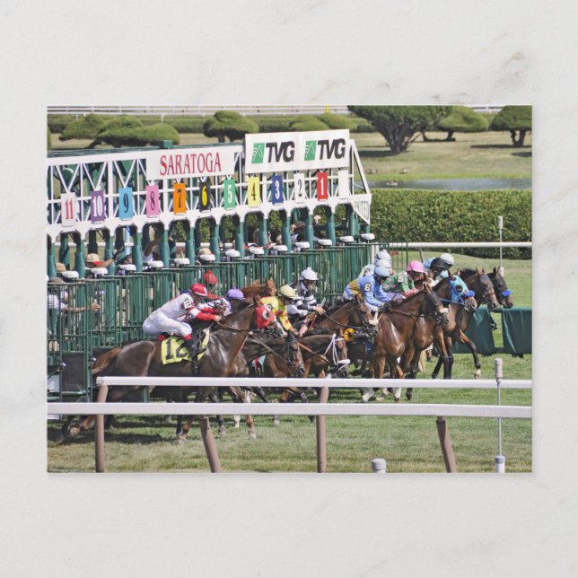 Saratoga Turf Racing Postcard Postkarte (Vorderseite)
