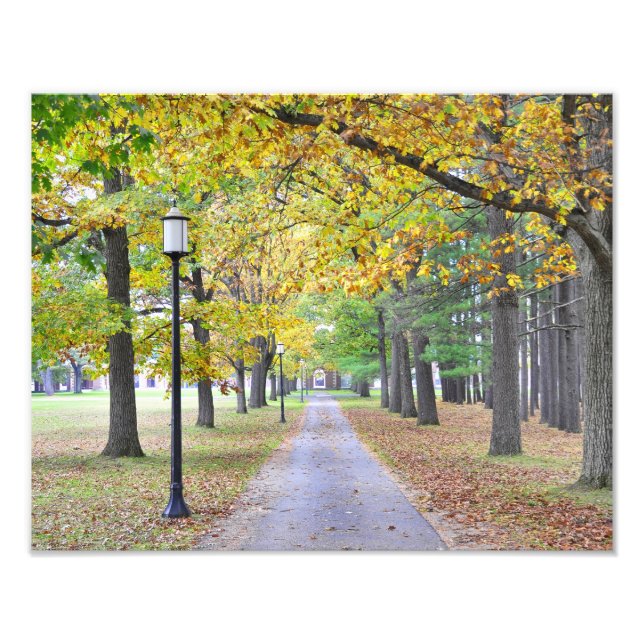 Saratoga Wellness-Center Staat Park Fotodruck (Vorne)