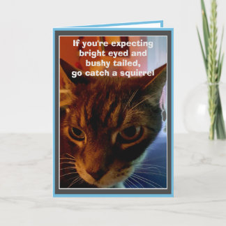 Sarcastic Cat Funny Birthday Card Karte