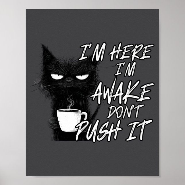 Sarcastic Cat Funny Cat I'm Here I'm Awake Don't P Poster (Vorne)
