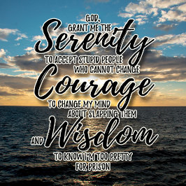 Sarcastic dumme Leute Serenity Gebet-Shirt T-Shirt