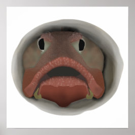 Sarcastic Fringehead - Fischköpfe Poster