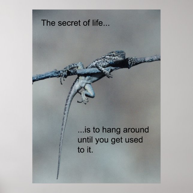 Sarcastic Lizard Secret of Life Poster (Vorne)