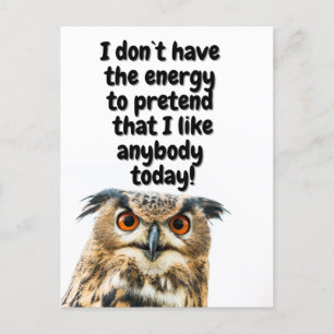 Sarcastic Owl komisches Zitat Postkarte