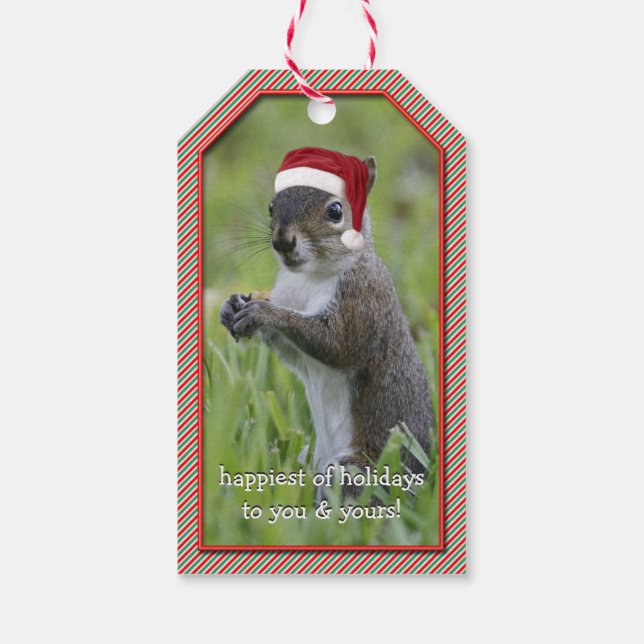Sarcastic Santa Squirrel Tragend Weihnachtsmannmüt Geschenkanhänger (Rückseite)