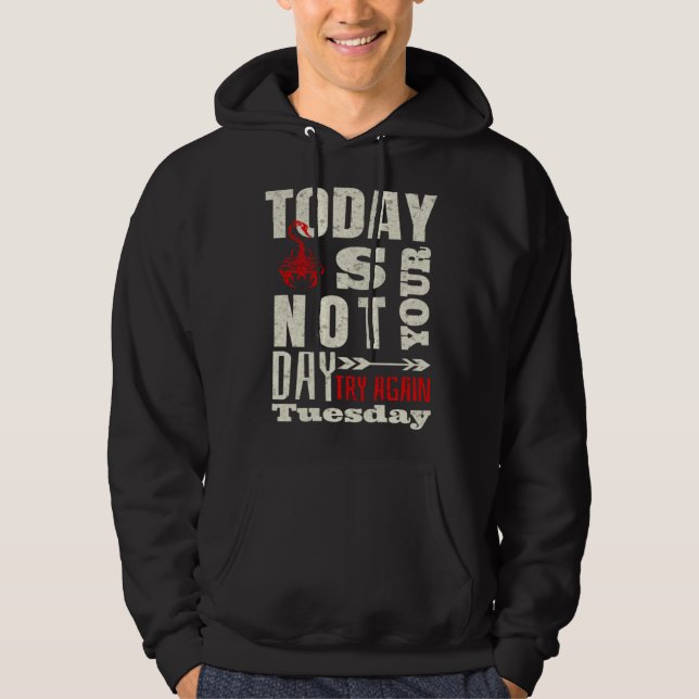 Sarcastic Scorpion Today is not your day Hoodie (Vorderseite)