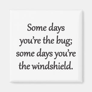 Sarcastic Zen Satz - The Bug And The Windshield Magnet