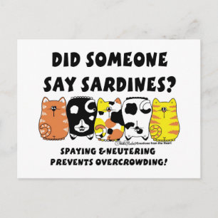Sardine Cats Postkarte