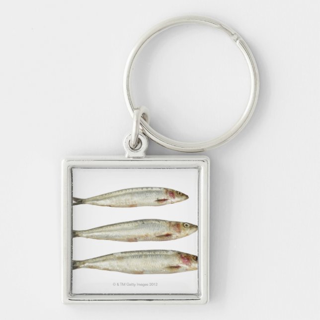 Sardinen (Pilchards) 2 Schlüsselanhänger (Vorne)