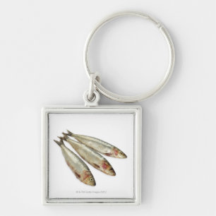 Sardinen (Pilchards) Schlüsselanhänger