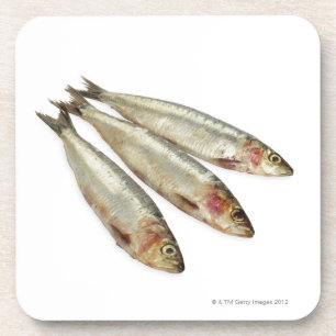 Sardinen (Pilchards) Untersetzer