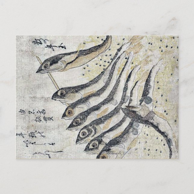 Sardinen von Teisai, Hokuba Ukiyoe Postkarte (Vorderseite)