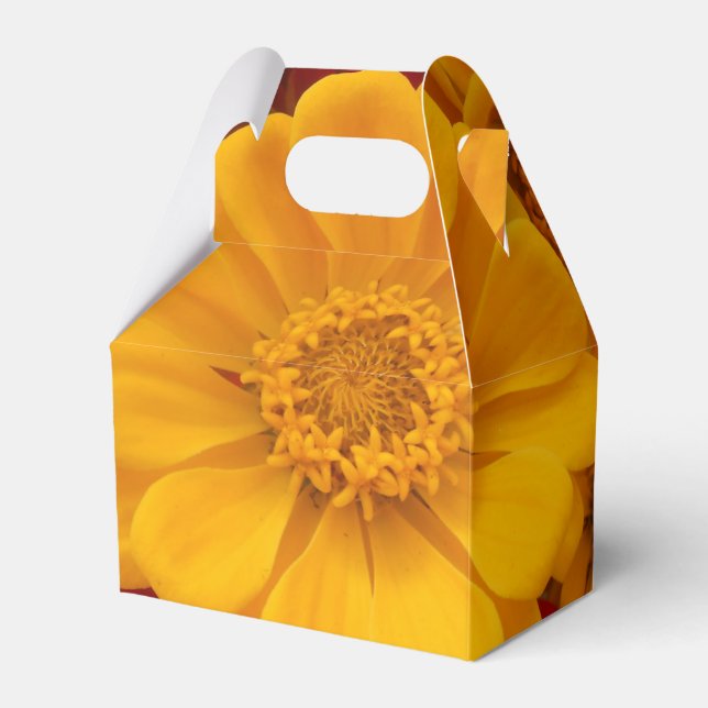 Sartain Geschenkschachtel (Vorderseite)