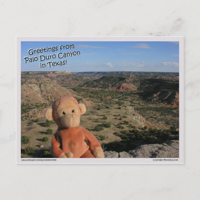 Saru #3 postkarte (Vorderseite)