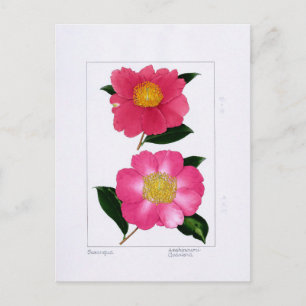 Sasanqua Plate: Asahinoumi & Godaishu Postkarte
