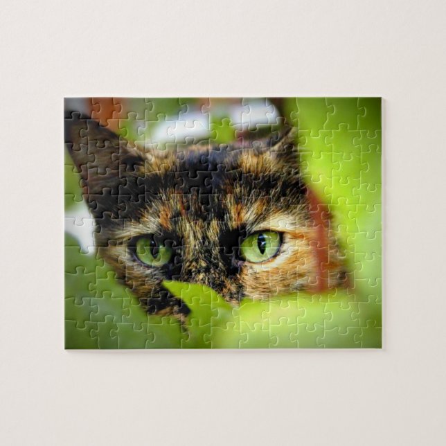 Sasha Puzzle (Horizontal)