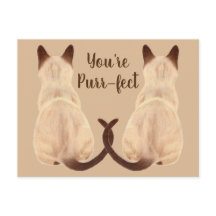 Sasha Siamese Cat Lover Back View You are Purfect