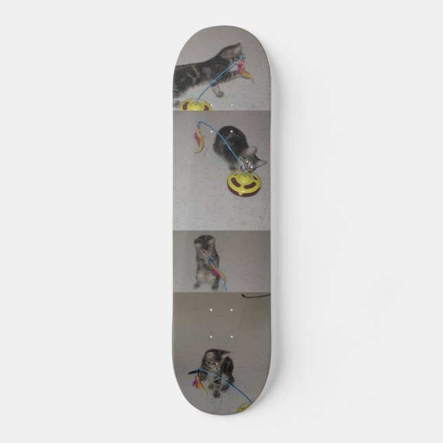 SASHA SKATEBOARD (Vorderseite)
