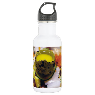 Sashimi Lmon Thunfisch Meeresfrüchte Kaviar Japani Trinkflasche