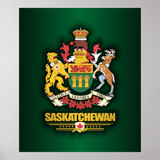 Saskatchewan COA Poster (Vorne)
