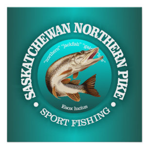 Saskatchewan Pike Fishing Poster