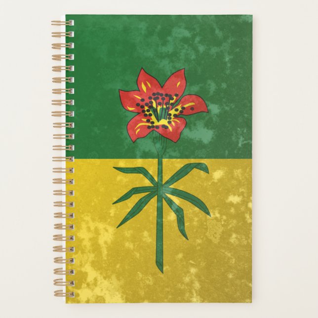 Saskatchewan Planer (Vorderseite)