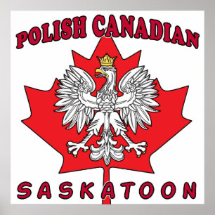 Saskatoon Polnisches kanadisches Leaf Poster