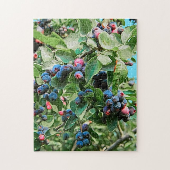 Saskatoon Puzzle (Vertikal)