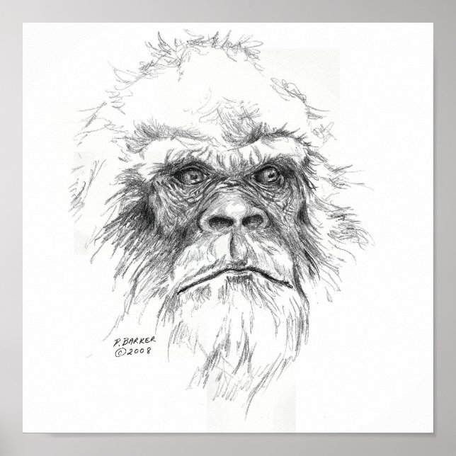 Sasquatch Prints Poster (Vorne)