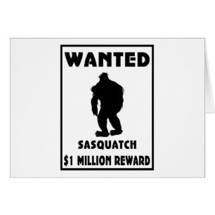 Sasquatch wollte Plakat