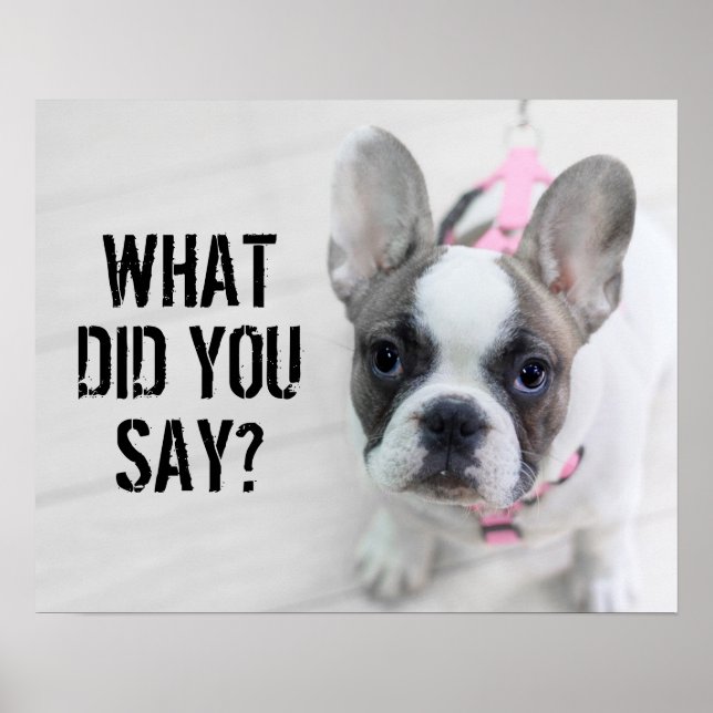 Sassy French Bulldog Poster (Vorne)