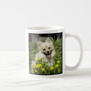 Sassy - Glück ist die Liebe von einem adoptierten Tasse