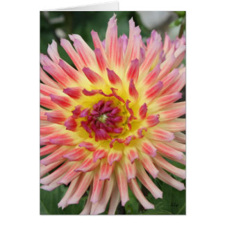 Sassy, hoffen Sie, Ihr Tag