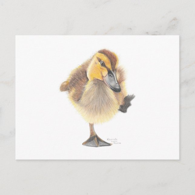 Sassy New Zealand Gray Duckling Post Card Postkarte (Vorderseite)