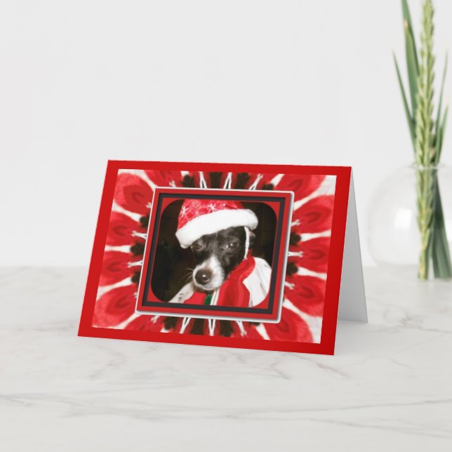 Sassy Santa Dog Feiertagskarte (Vorderseite)