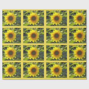 Sassy Summer Sunblumen Umschlagpapier Geschenkpapier