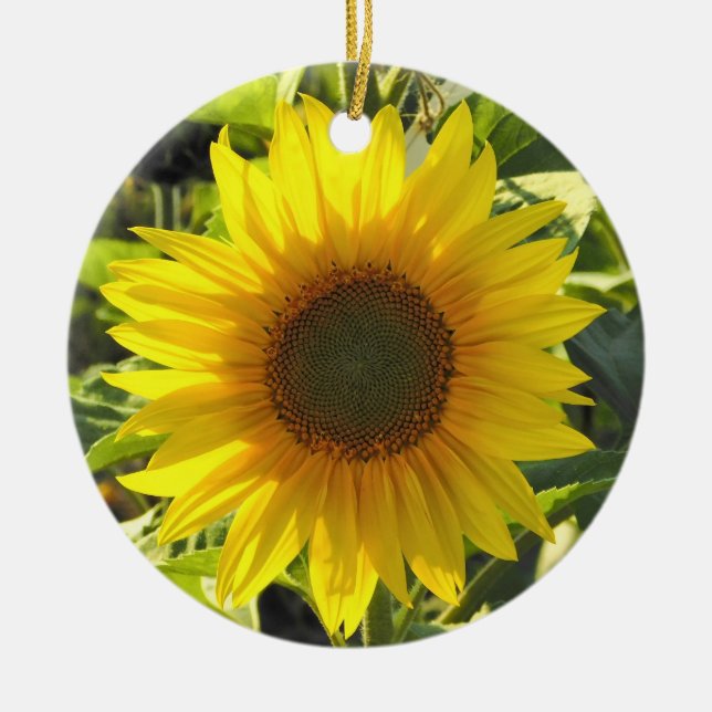 Sassy Sunflower Ornament (Vorne)